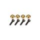 GT040049 Servo Screw set