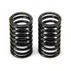 PN0125 VALVE SPRING SET F91S