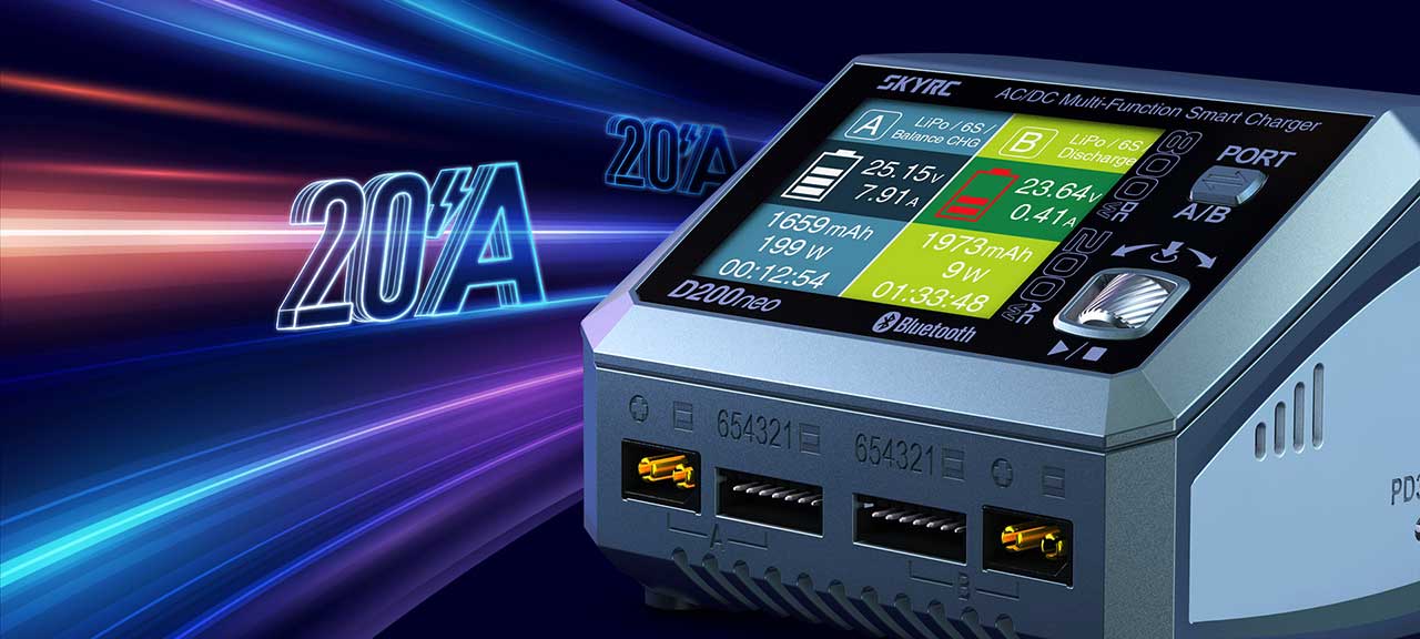 SkyRC SK-100196-06 Caricabatteria D200 Neo+