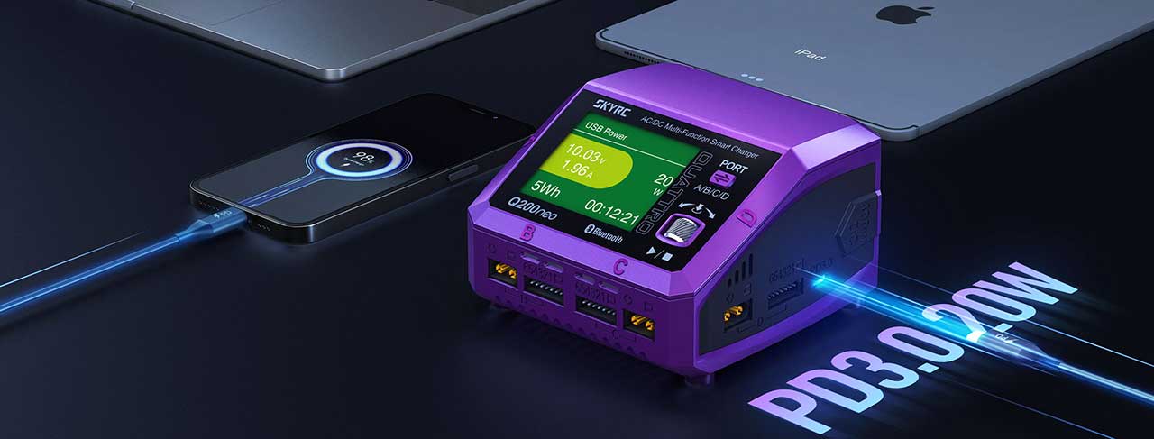 SkyRC SK-100197-01 Caricabatterie Q200 Neo